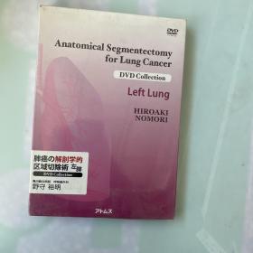 肺癌解剖性肺段切除图谱（以实拍图为准）DVD