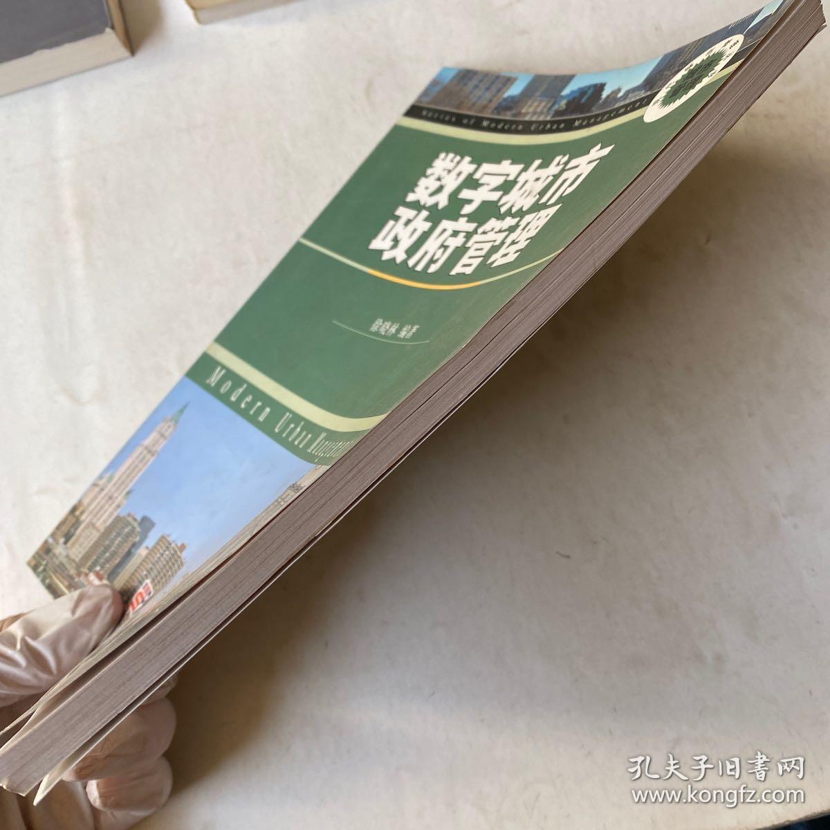 数字城市政府管理