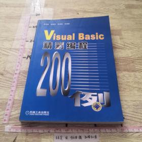 Visual Basic精彩编程200例（不含光盘）