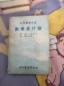 數(shù)學(xué)是什么，