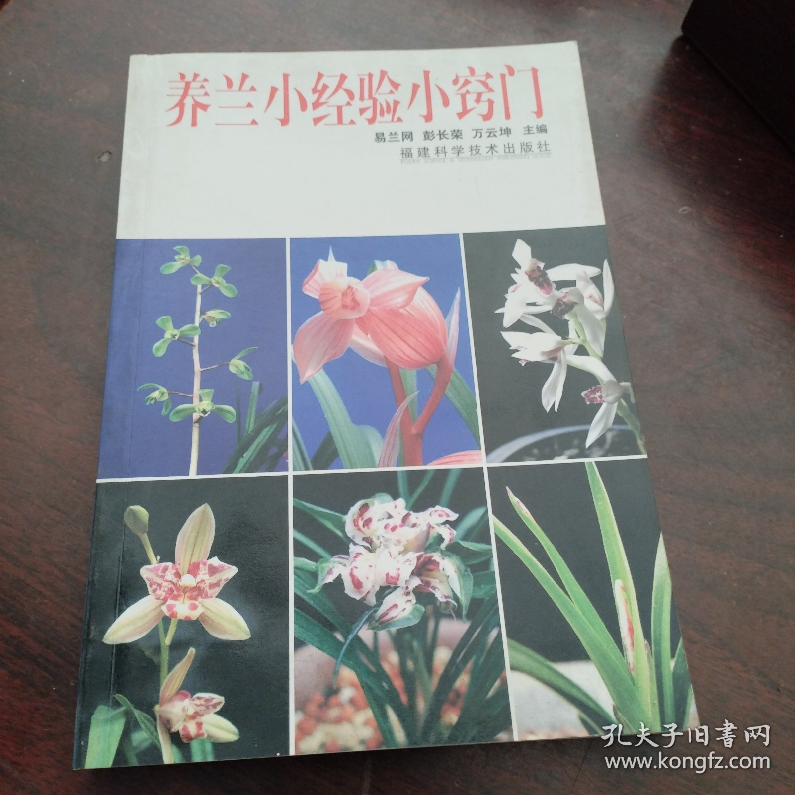 养兰小经验小窍门