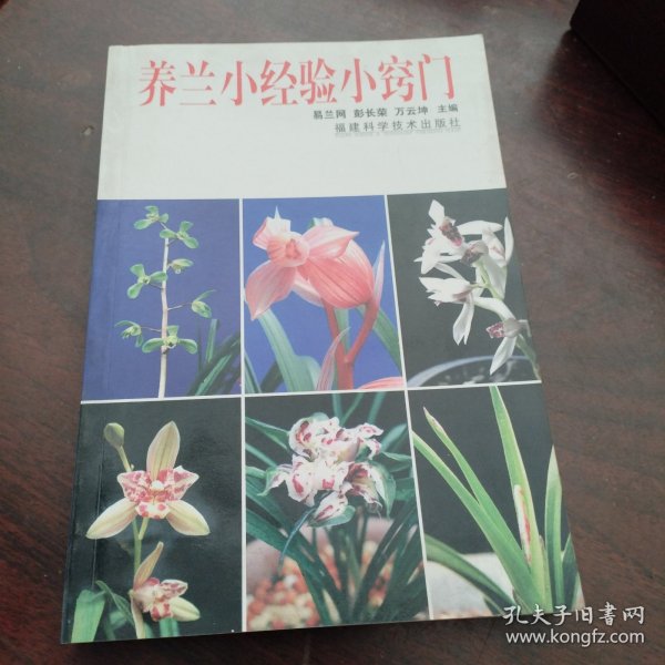 养兰小经验小窍门