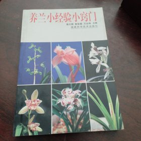 养兰小经验小窍门