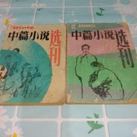 中篇小说选刊(1985/2、4)