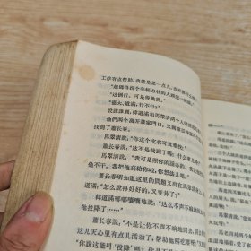 艳阳天 第三卷