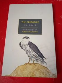 The Peregrine（英文原版）