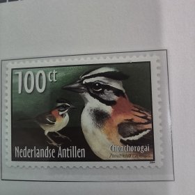 Davo1荷属安的列斯2004年邮票 鸟类 灌鸟 鹰等 新