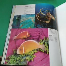 中国国家地理少儿百科：海洋，野生动物<两本合售>