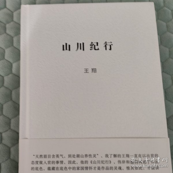山川纪行 王翔 天津出版社 9787201153001
