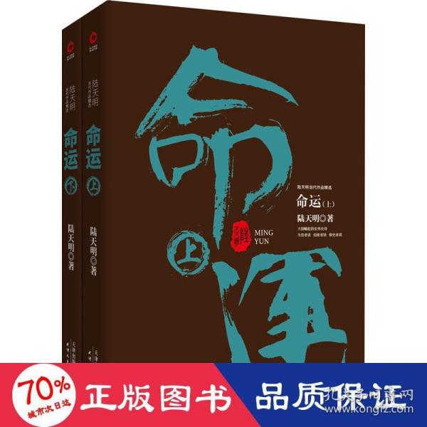 陆天明当代作品精选：命运（套装全2册）