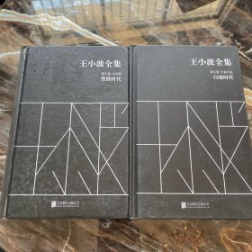 王小波全集（第十卷 未竟稿）：黑铁时代、第五卷 白银时代（两本合售）