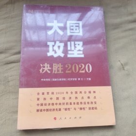 大国攻坚：决胜2020（中央党校（国家行政学院）智库系列丛书）