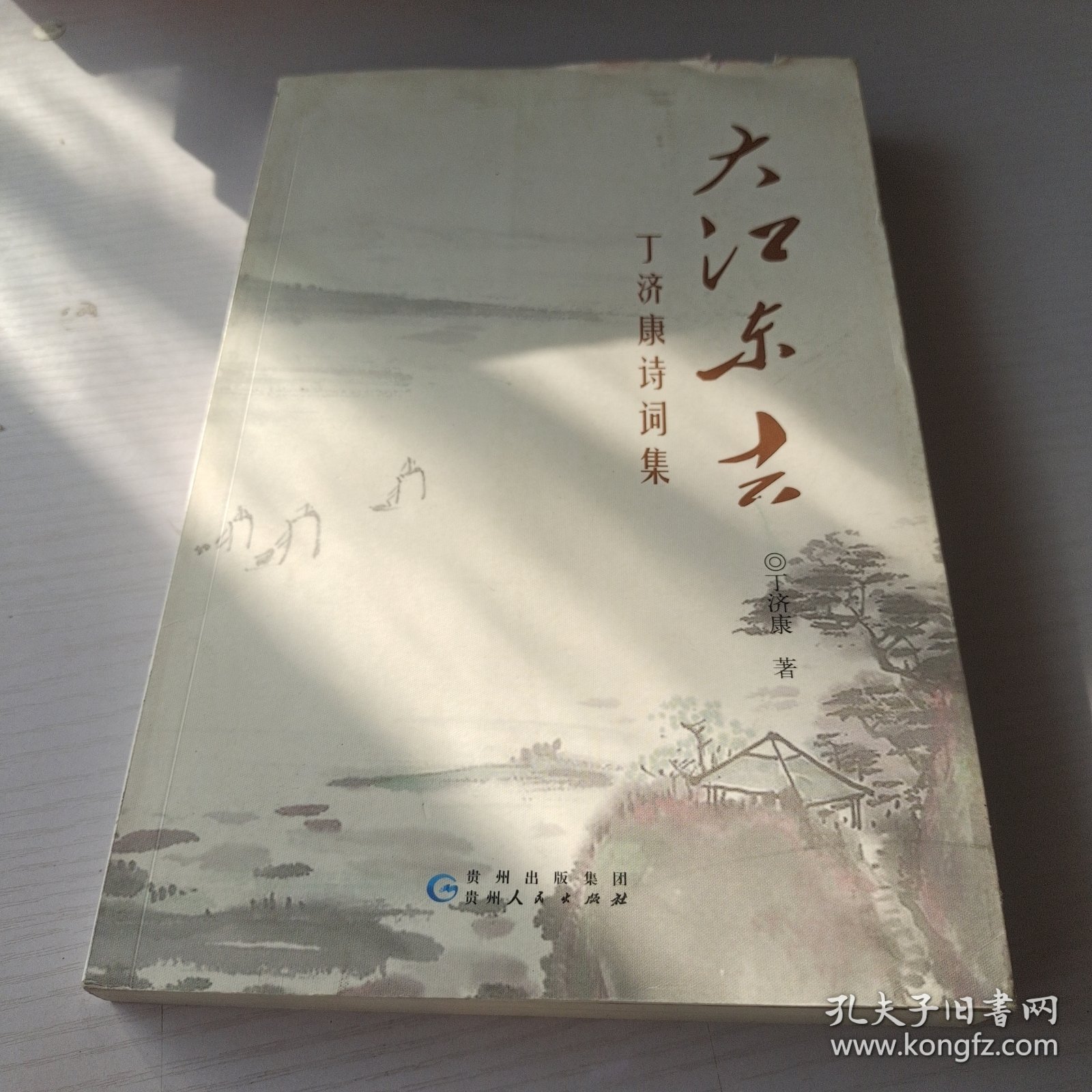 大江东去 : 丁济康诗词集