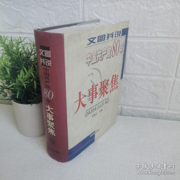 文图并说中国共产党80年大事聚焦