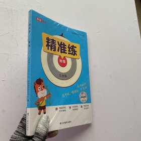 精准练 物理 九年级【未拆封】