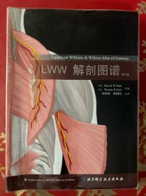 LWW解剖图谱