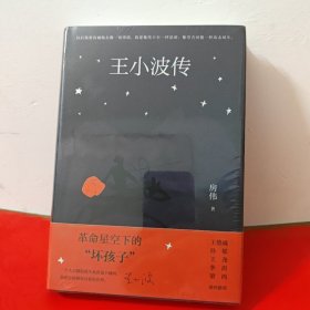 王小波传（权威传记新修版 梁鸿序言导读 王德威孙郁王尧李洱联袂推荐 援引一手资料 还原真实的王小波）