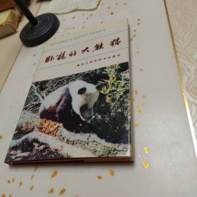 卧龙的大熊猫（精装，有书衣，书脊有一个小孔。）