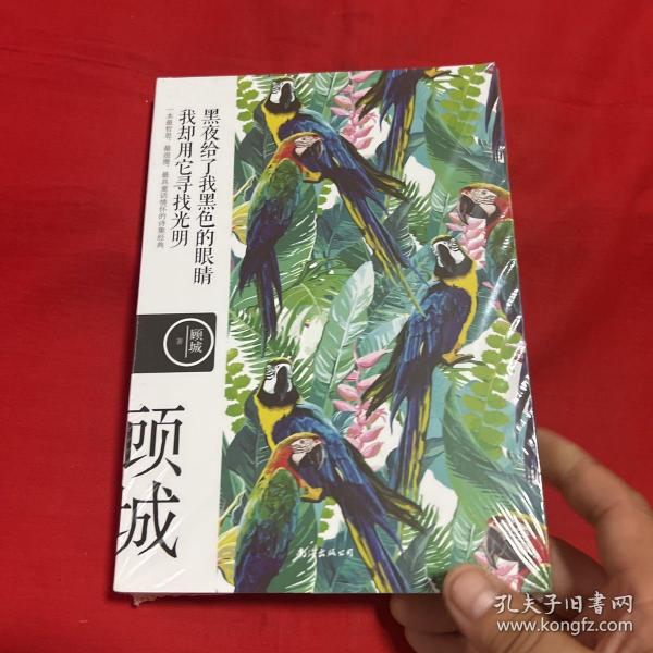 名诗名画系列《黑夜给了我黑色的眼睛，我却用它寻找光明》 ——顾城经典诗集