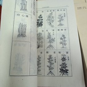 《本草纲目》校注 上中下全三卷