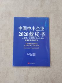 中国中小企业2020蓝皮书:大变革、大转型时代中小企业健康发展战略研究【附光盘】