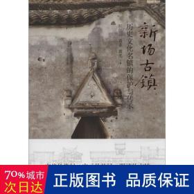 新场古镇:历史名镇的保护与传承 史学理论 阮仪三，袁菲，葛亮 新华正版