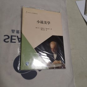 小说美学：如何阅读西方小说名著