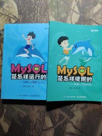 MySQL是怎样使用的 快速入门MySQL、MySQL是怎样运行的从根儿上理解MySQL（合售）