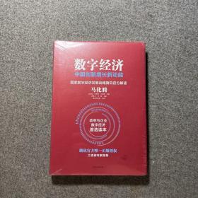 数字经济：中国创新增长新动能