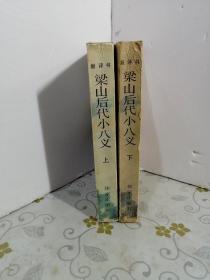 梁山后代小八义 上下