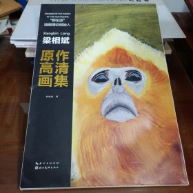 野生派油画理论创始人梁相斌 原作高清画集（作者签名 ，八开散页29张）