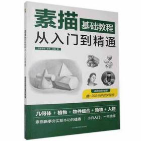 素描基础教程从入门到精通 美术技法 介于手绘主编 新华正版
