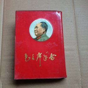 毛主席手书 （林照片一黑一白）