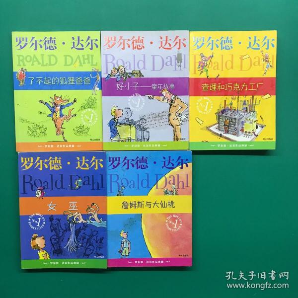 好小子-童年故事：罗尔德·达尔作品典藏