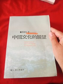 中国文化的展望
