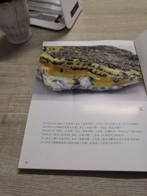 天工自然·青田石雕  张爱光石雕艺术精品集