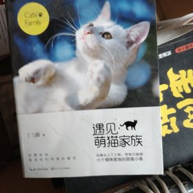 遇见•萌猫家族