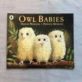 Owl Babies【小猫头鹰】英文版儿童绘本