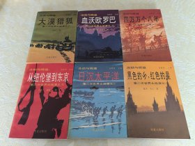 浩劫与辉煌 第二次世界大战演义（一、四万万个八年；二、血沃欧罗巴；三、大漠猎狐；四、黑色的卐，红色的星；五、日沉太平洋；六、从纽伦堡到冬京）【全六册】