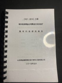 埃尔拉多黄金公司黑龙江东安金矿 预可行性研究报告