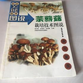 农业关键技术图说丛书：茶薪菇栽培技术图说