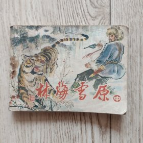连环画 林海雪原 中
