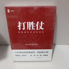 打胜仗:常胜团队的成功密码