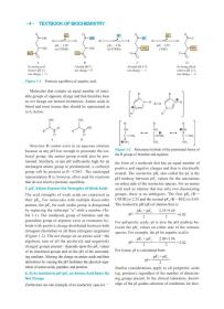 保正版！生物化学（英文改编版 第2版）9787030629302科学出版社（美）Robert K. Murray等著；汤其群改编