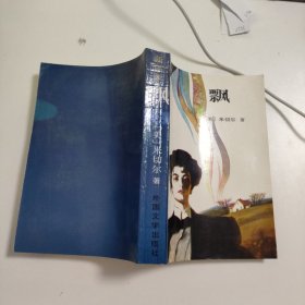飘 上 V530