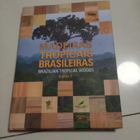 巴西森林木材鉴别，英文