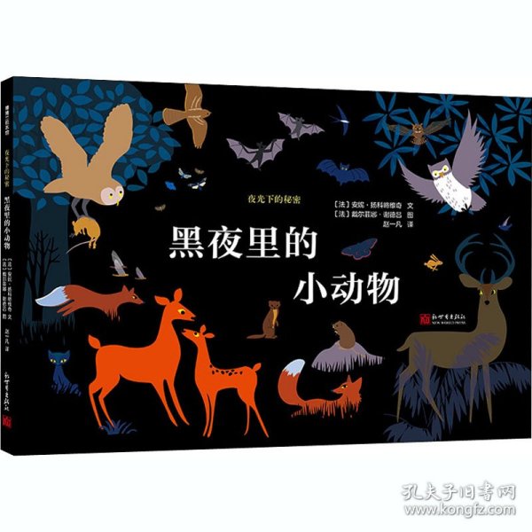 夜光下的秘密系列：黑夜里的小动物夜行动物图鉴蒲蒲兰绘本
