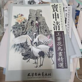 窦申清工笔花鸟画精选