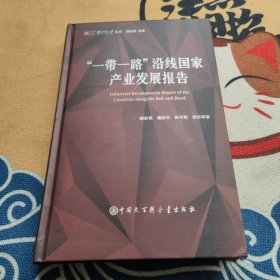 “一带一路”沿线国家产业发展报告