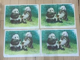 熊猫的挂图4张